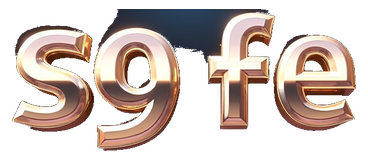 s9 fe logo